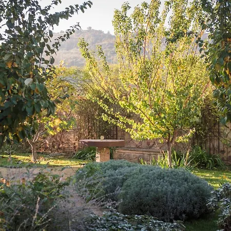Jardin De Doctrinos By Ap